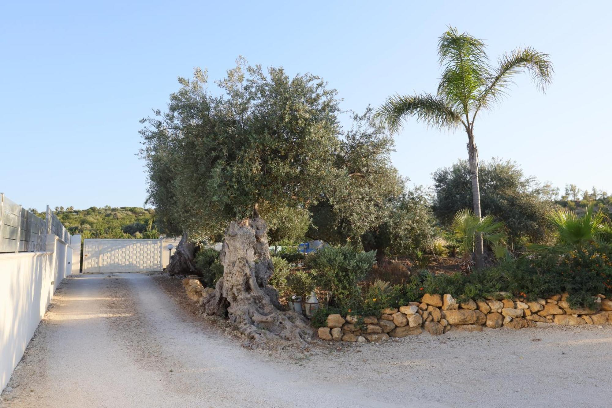 Hotel Relais Dea Degli Ulivi Agrigento Zewnętrze zdjęcie