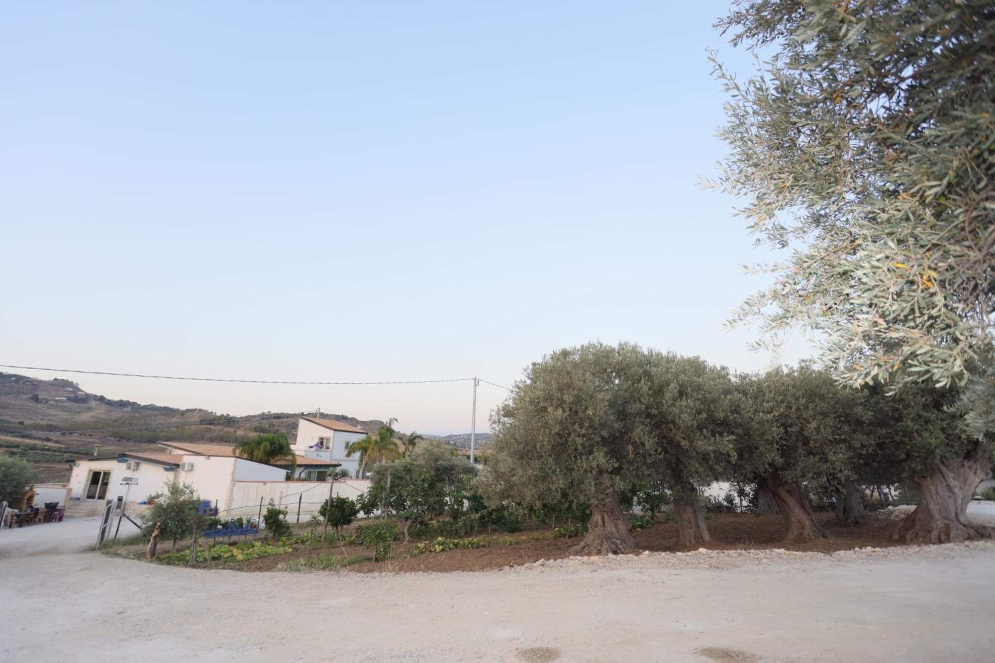 Hotel Relais Dea Degli Ulivi Agrigento Zewnętrze zdjęcie